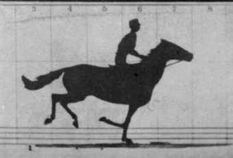 Horse In Motion