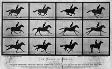 The Horse In Motion Frames