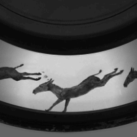 Zoopraxiscope